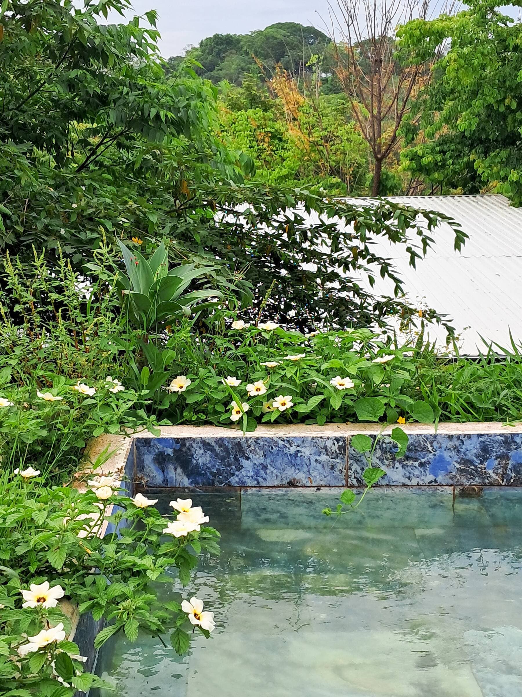 Santa Teresa · Pura Vida · 8